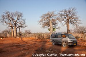 Parc national de Ruaha - Tanzanie