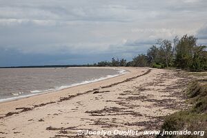 Parc national de Saadani - Tanzanie