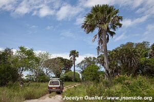 Saadani National Park - Tanzania