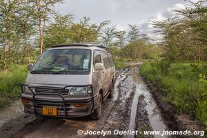 Parc national de Saadani - Tanzanie