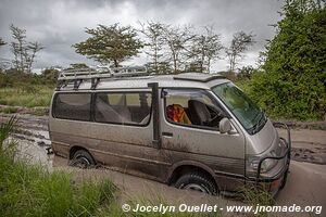 Parc national de Saadani - Tanzanie