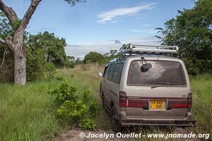 Parc national de Saadani - Tanzanie