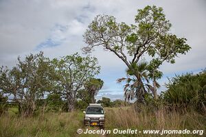 Parc national de Saadani - Tanzanie