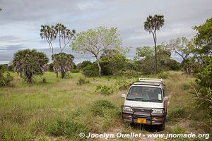 Parc national de Saadani - Tanzanie