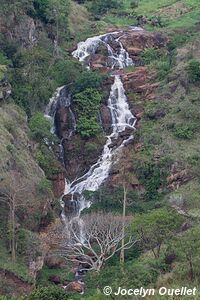 Monts Usambara - Tanzanie