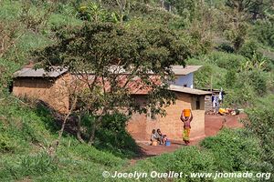 Monts Usambara - Tanzanie