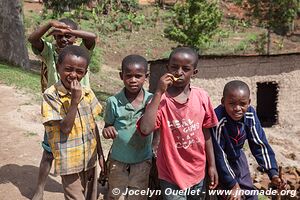 Monts Usambara - Tanzanie