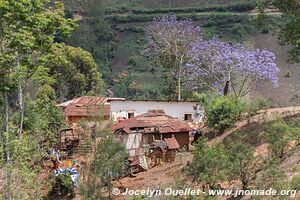 Monts Usambara - Tanzanie