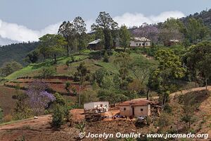 Usambara Mountains - Tanzania