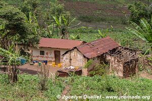 Monts Usambara - Tanzanie