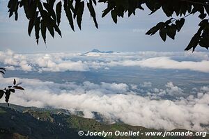 Usambara Mountains - Tanzania