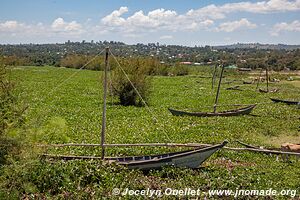 Lake Victoria - Kenya