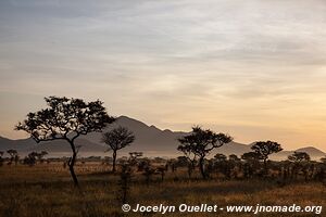 Parc national de Ruma - Kenya