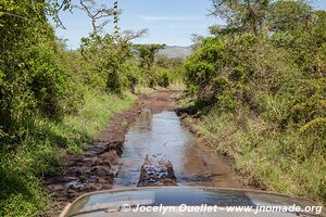 Parc national de Ruma - Kenya