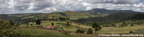 Collines de Cherangani - Kenya