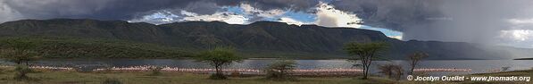 Réserve nationale du lac Bogoria - Kenya