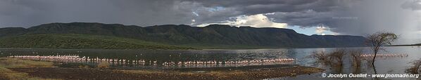 Lake Bogoria National Reserve - Kenya