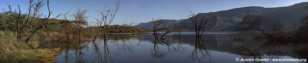 Réserve nationale du lac Bogoria - Kenya