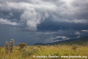 Ruma National Park - Kenya