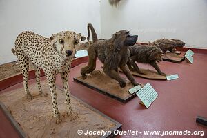 Musée de Kitale - Kenya