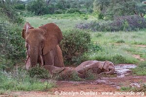 Réserve nationale de Samburu - Kenya