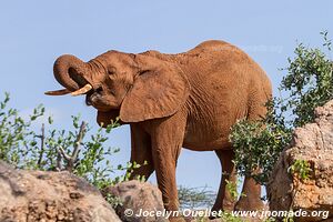 Samburu National Reserve - Kenya