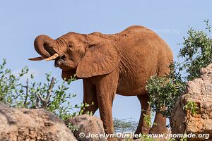 Réserve nationale de Samburu - Kenya