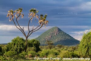 Réserve nationale de Samburu - Kenya