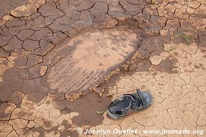 Réserve nationale de Samburu - Kenya