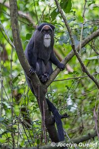 Musée de Kitale - Kenya