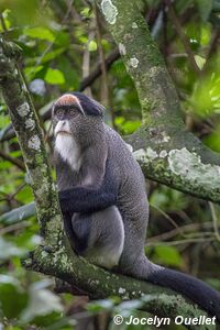 Musée de Kitale - Kenya