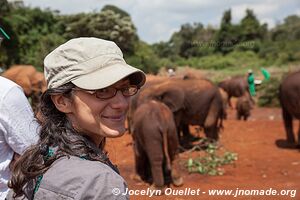 David Sheldrick Sanctuary - Nairobi - Kenya