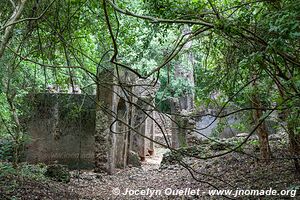 Ruines de Gede - Kenya