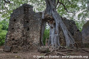 Ruines de Gede - Kenya