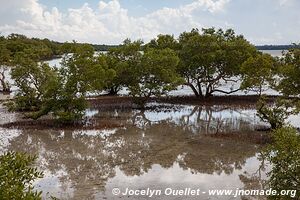 Lagune du ruisseau Mida - Kenya