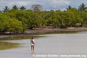 Lagune du ruisseau Mida - Kenya