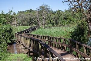 Saiwa Swamp National Park - Kenya