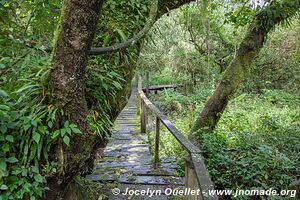 Saiwa Swamp National Park - Kenya