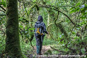 Saiwa Swamp National Park - Kenya