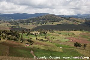 Collines de Cherangani - Kenya