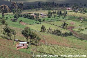 Collines de Cherangani - Kenya