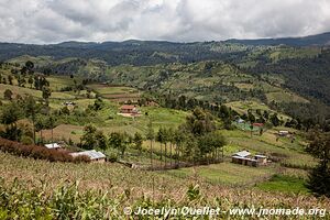 Cherangani Hills - Kenya