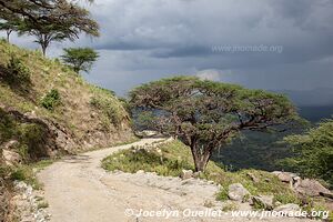 Cherangani Hills - Kenya