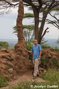 Collines de Cherangani - Kenya