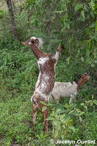 Kerio Valley - Kenya