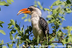 Lake Baringo - Kenya