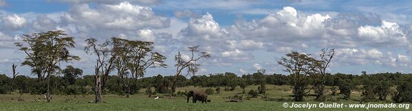 Ol Pejeta - Kenya