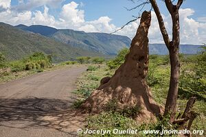 Réserve nationale du lac Bogoria - Kenya