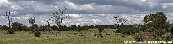 Ol Pejeta - Kenya