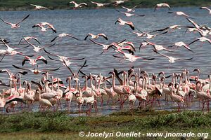 Lake Bogoria National Reserve - Kenya